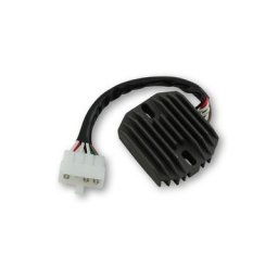 Contrôleur de charge ElectroSport ESR 320