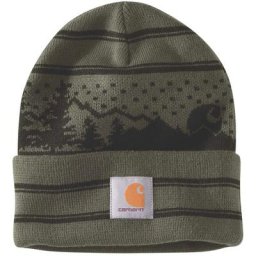 Carhartt Knit Holiday Beanie, vert
