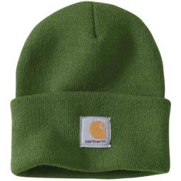Carhartt Watch Chapeau, vert