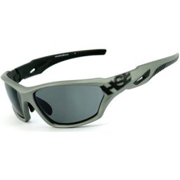 HSE SportEyes 2093 Lunettes de soleil, gris