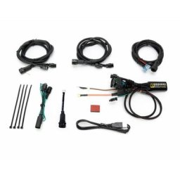 DENALI Faisceau CANsmart Plug-N-Play Gen II BMW K1600