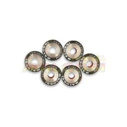 MALOSSI Jeu de galets 25x22,2mm 24gr - 6 pièces