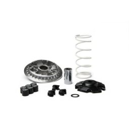 MALOSSI Variateur Multivar 2000