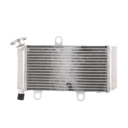 motoprofessionnel Refroidisseur d’eau, YAMAHA XT660R/X, argent