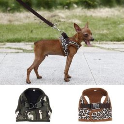 Glace en nylon SFP pour animaux de compagnie chiot chat léopard chien petits chiens chihuahua