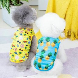 Gilet pour animaux de compagnie joli pull en Polyester doux imprimé ananas pour chiot chien