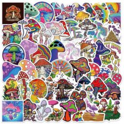10/30/50pcs Psychédélique Champignon Autocollants Esthétique BRICOLAGE Ordinateur Portable Guitare