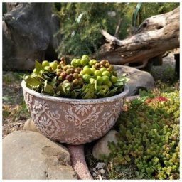 Pot de fleurs vintage béton 19cm rond Cache-pot gris résistant aux intempéries Shabby ornements
