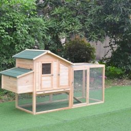 Poulailler Java Toit Shingle 4 à 6 Poules - Vert