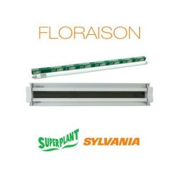 Rampe néon Floraison T5HO 2x24W 3000K Plug and Play Superplant Sylvania