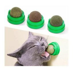 Lot de 6 boules d'herbe à chat pivotantes pour friandises à lécher - Jouet pour chat - Boule