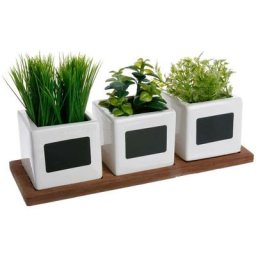 Atmosphera - Lot de 3 herbes en pot créateur d'intérieur - Blanc