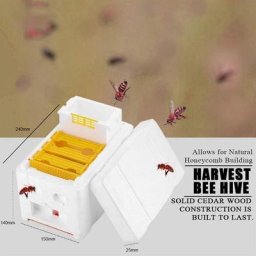 Beehive Beekeeping King Box Mousse équation à domicile HMarkets PER ination Queen Analyste de