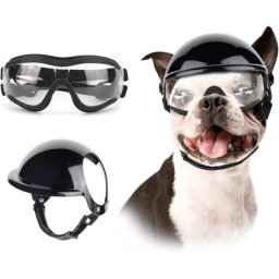 ATUBAN-Casque et lunettes de soleil pour chiens protection UV chapeau de sport pour animaux de