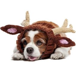 Accessoires de Photo pour chiot Costume chaud d'hiver pour chien renne chat sans rabat capuche