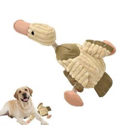 Jouets couineurs pour chiens de taille moyenne livres sonores dents de chiot fournitures à