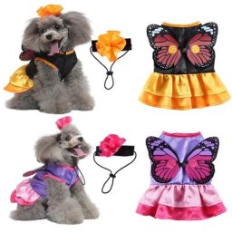 Costume d'halloween amusant pour chien tenue de Cosplay pour petit chien chat bouledogue
