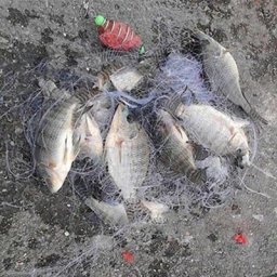 Filet de pêche à motif d'hameçon créatif équipement en maille équipement matériel