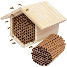 Doublures de tube en papier pour accent d'insecte 50 pièces