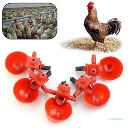 Abreuvoir à oiseaux et volailles jetables 5 pièces rajeunissement automatique standardisation de