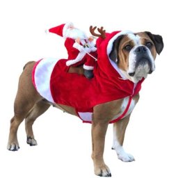 Costume drôle de père Noël IQUE Up pour chiens vêtements de Noël pour animaux de compagnie manteau