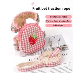 Sac à dos en verre SFP pour animaux de compagnie laisse pour petits chiens respirant mignon