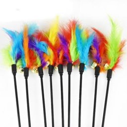 Jouets interactifs amusants pour animaux de compagnie anciers de taquiner plumes colorées