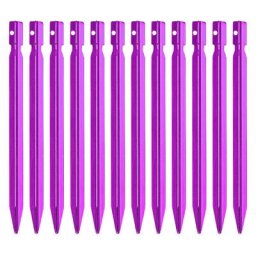 Piquets de Camping en alliage d'aluminium 18cm 12 pièces piquets de tente au sol pour Camping en