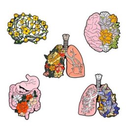 HXBA – broche d'anatomie en émail pour le cœur le ventre les poumons le cerveau bijoux pour