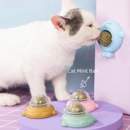 Jouets à mâcher pour chat nettoyage dentaire des dents friandises murales pour chat bonbons