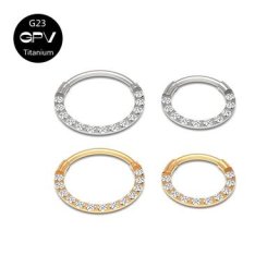 Boucles d'Oreilles Ouvertes Sans Couture en Titane G23 Demi-Anneau Zcomprend sur l'Antarctique