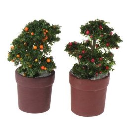 Plante de mandarine en pot plante Miniature de jardin féerique arbres fruitiers accessoire pour