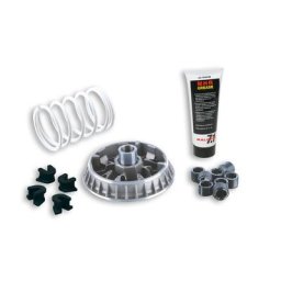 MALOSSI Variateur Multivar 2000