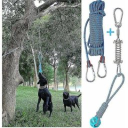 Ensemble de jouets de barre à ressort pour chien exercice suspendu en plein air corde de coton