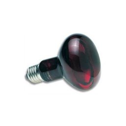 50 w Zoo Med lampe spot infrarouge - Lampe chauffante infra-rouge nocturne Zoo Med Multicolor