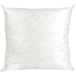 Coussin c Plumes à recouvrir 100% Plumettes de canards 65x65 cm - Blanc
