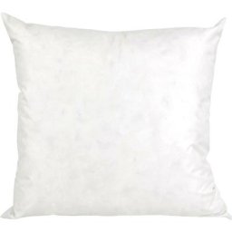 Coussin c Plumes à recouvrir 100% Plumettes de canards 50x50 cm - Blanc
