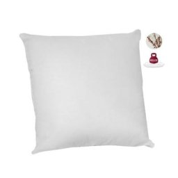 Lot de 2 oreillers anti-acariens - 60 x 60 cm - 100% coton bio Abeil