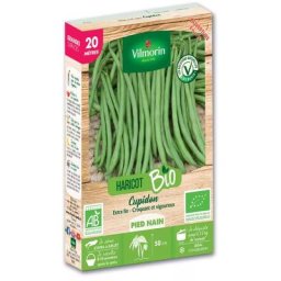 Vilmorin - Graines de Haricot Nain Vert Cupidon bio - 20 mètres