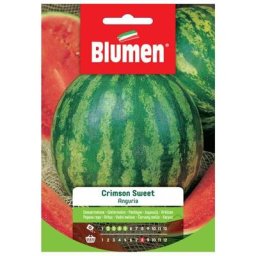 Graines de pastèque crimswon sweet Blumen
