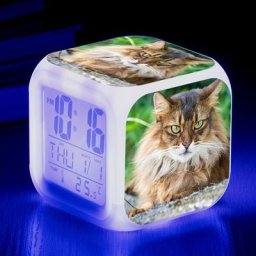 Animaux mignons chats réveil numérique(C), lumières colorées réveil Horloge carrée, Meilleur Cadeau
