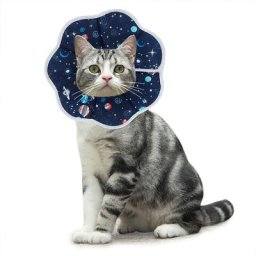 Blue Dream - Collerettes pour Chat Anti-Morsure Protection Ajustable Collier de Récupération Comfy