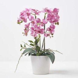Orchidée artificielle rose en pot en céramique blanc 54 cm - Rose - Homescapes