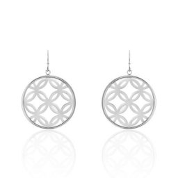 Boucles D'oreilles Pendantes Danyl Acier Blanc