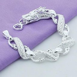 Bracelets en argent Sterling 925 pour hommes chaîne Dragon chinois blanc bijoux à la mode