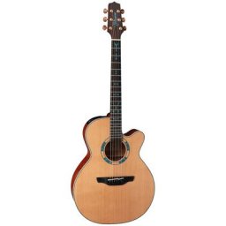 Takamine LTD2023 Santa Fee 30TH Anniv