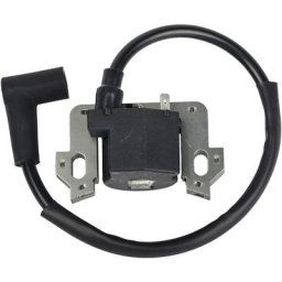Swyeoot - Module de Bobine D'allumage Compatible avec Honda GCV135 GCV160 GCV190 GSV160