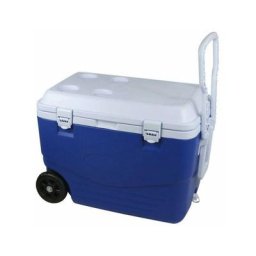 Glacière Rigide 46 Litres ' 60 Glacière Rigide 46 Litres ' 60,5 X 35 ,5 X 41,5 Cm