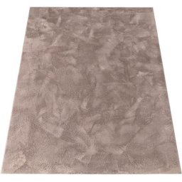 Paco Home - Tapis Salon Adulte Poil Long Shaggy Lavable En Machine Moelleux Pelucheux Taupe 60x90 cm