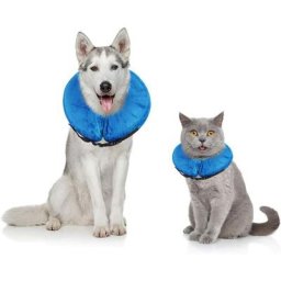 Collier de récupération gonflable pour chien et chat avec boucle, collier de protection réglable et